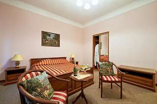 Гостиница Барышкофф Отель Санкт-Петербург Улучшенный двухместный номер с 1 кроватью-6